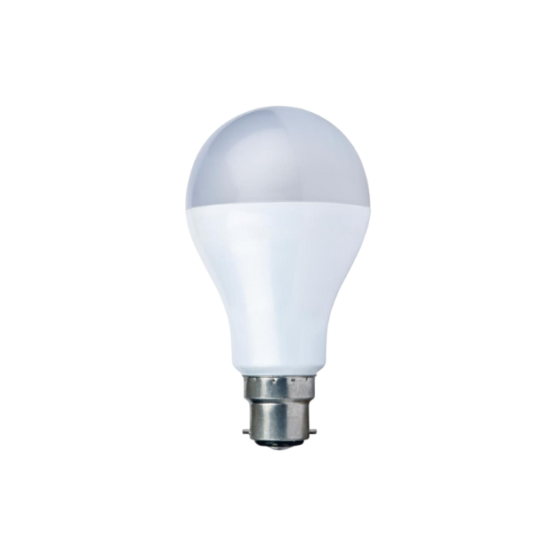 20W Bulb